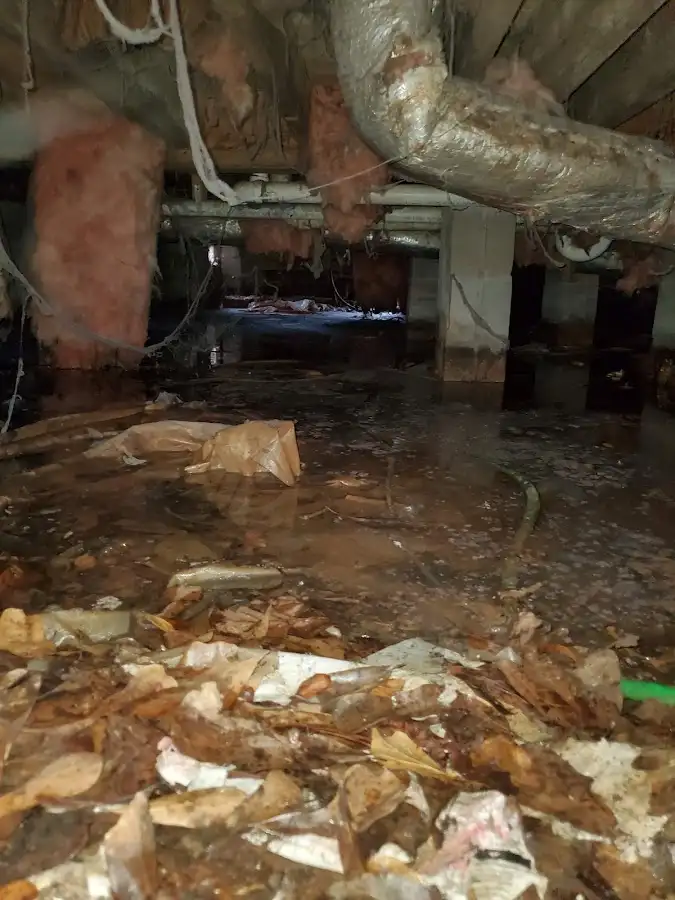 Crawl space flood assessment for Leak Detection & Repair in Alpharetta